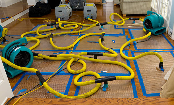 Professional Water Damage Restoration technician working in Nazareth, PA